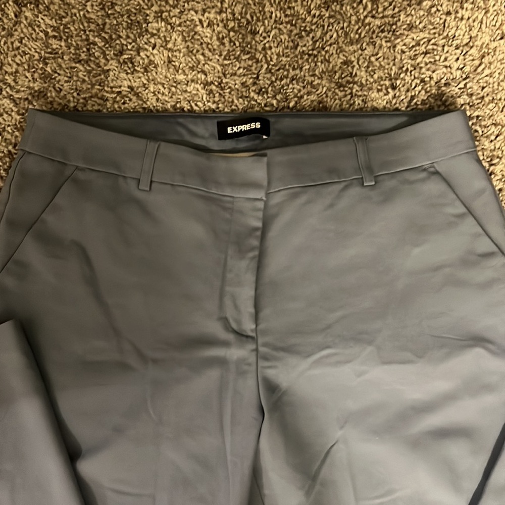 Express Slacks Size 14 - Picture 2 of 4